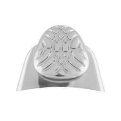 Galvanic Spa Face Conductor